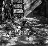grotto2.jpg